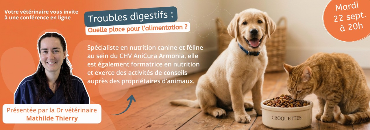 Webconférence - Troubles digestifs : Quelle place pour l'alimentation ?